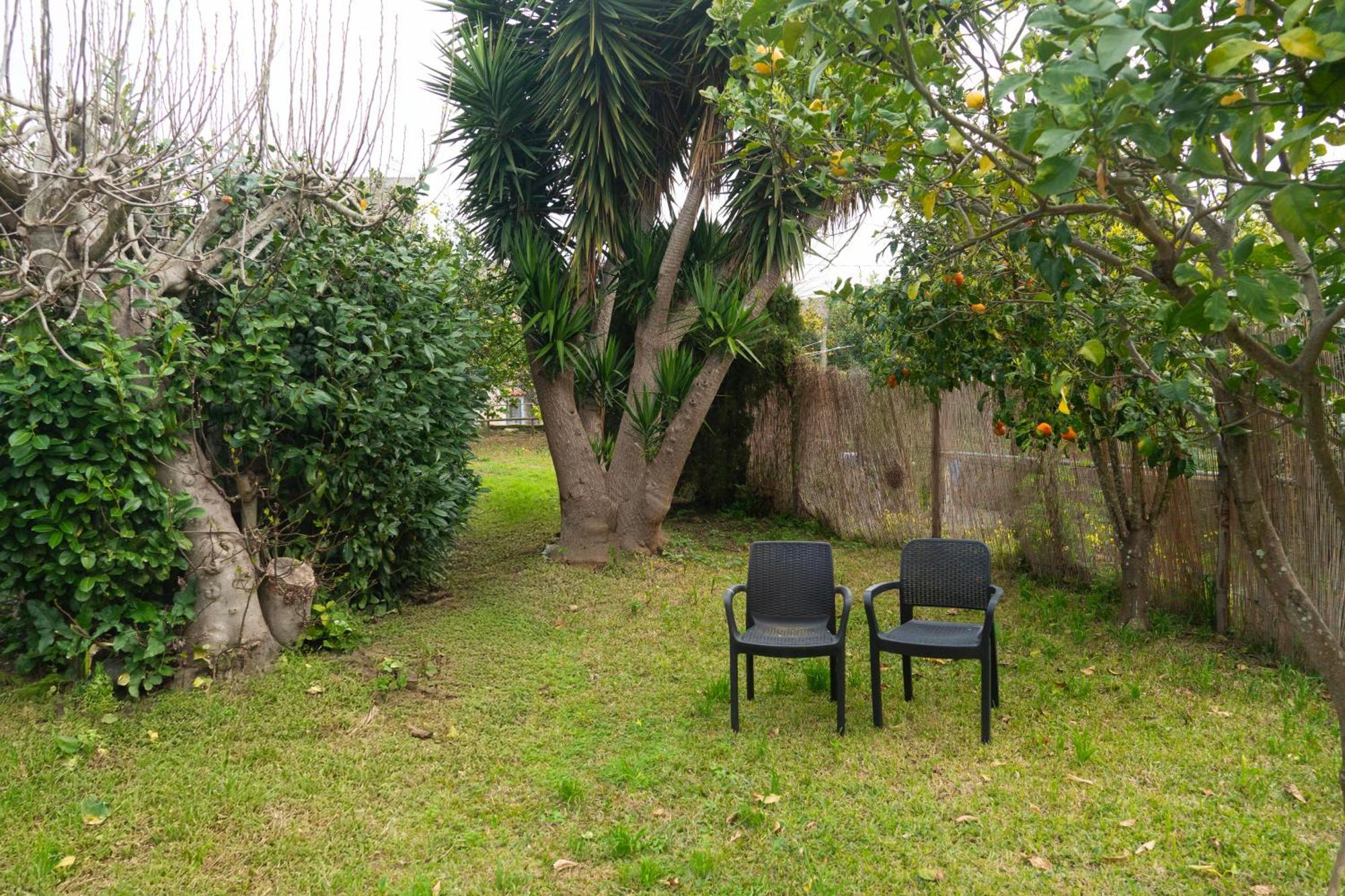 普罗奇达La Terrazza Sul Giardino公寓 外观 照片