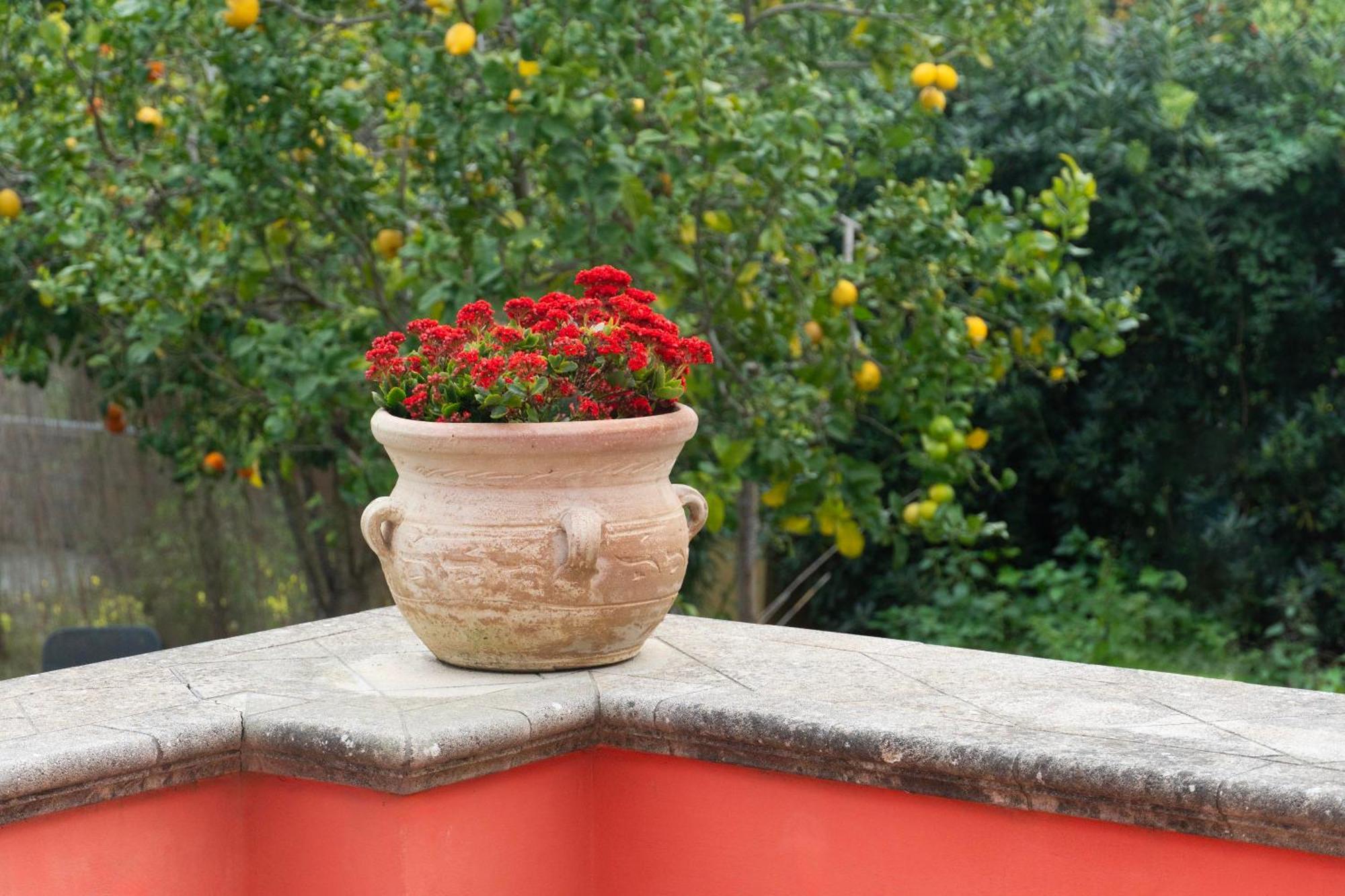 普罗奇达La Terrazza Sul Giardino公寓 外观 照片